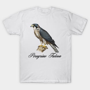 Peregrine Falcon  sitting on a branch T-Shirt